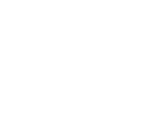 DS